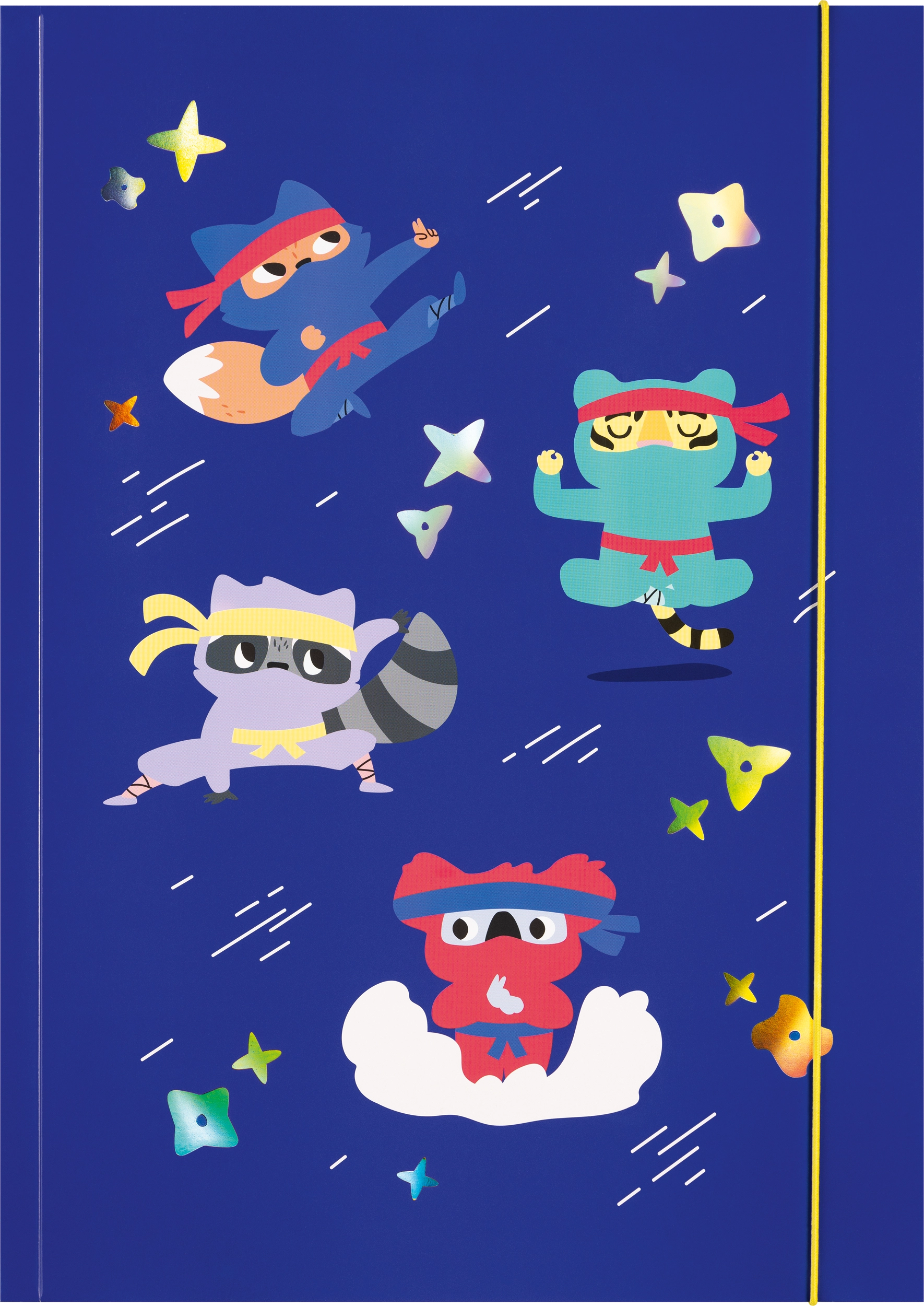 Folders, Ninjas, with Elastic Band