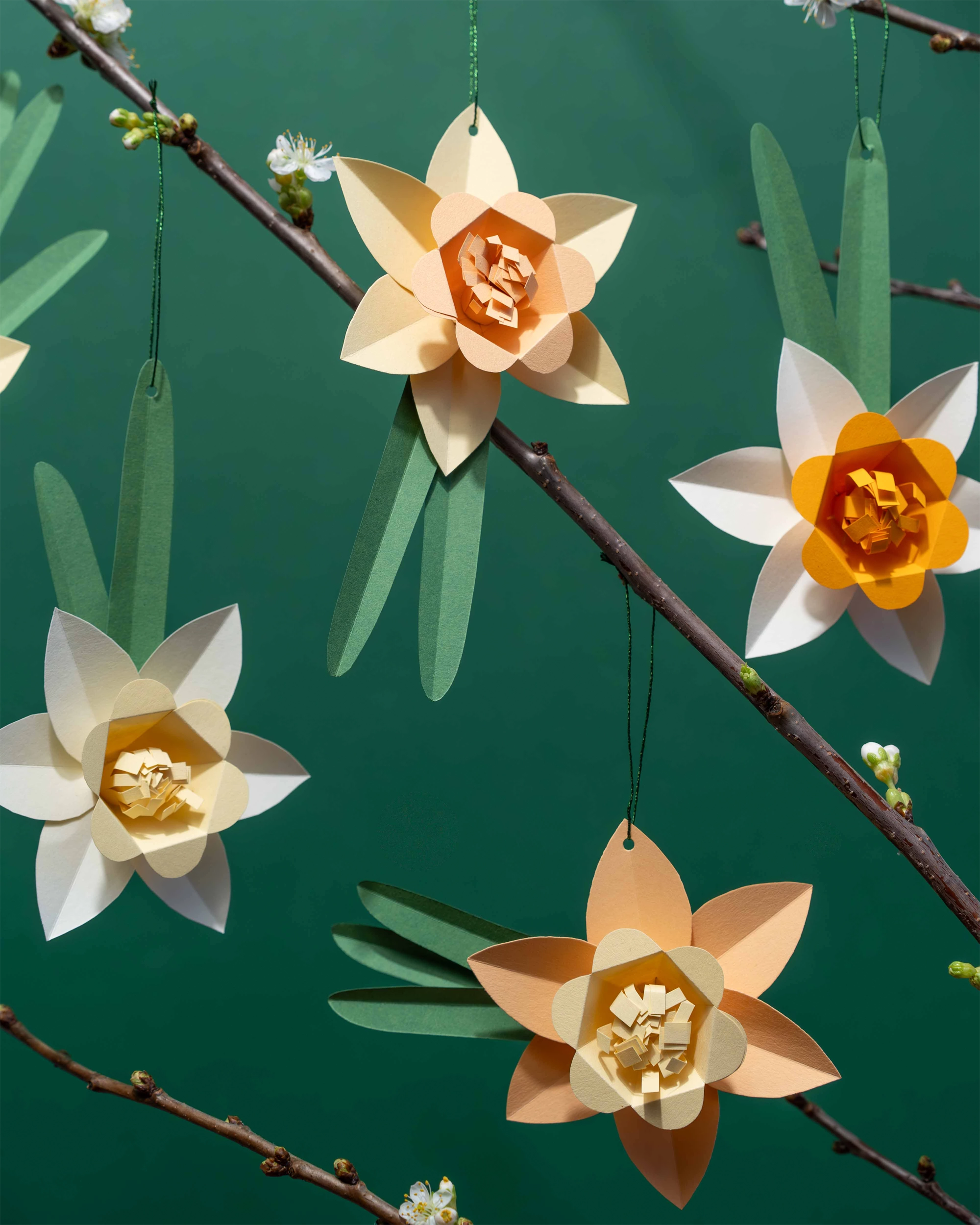 Daffodil Decorations