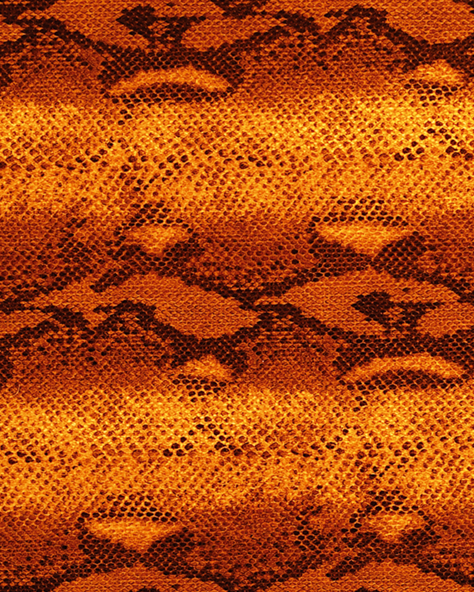 Motif Cardboard, Snake, 50 x 70 cm, 300 g/m², 10 sheets