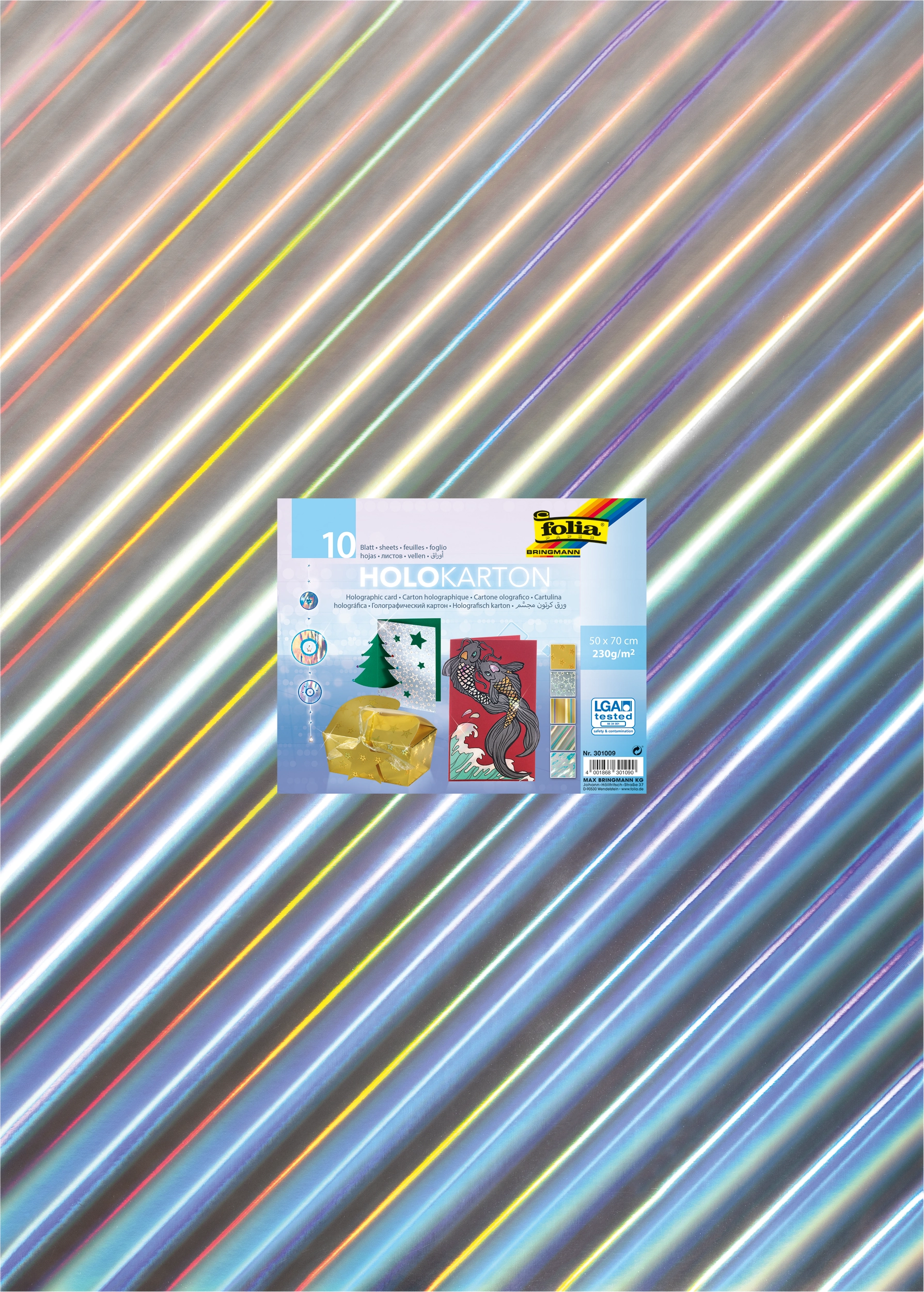 Holographic Card, 5 Motifs Assorted, 50 x 70 cm, 230 g/m², 10 sheets