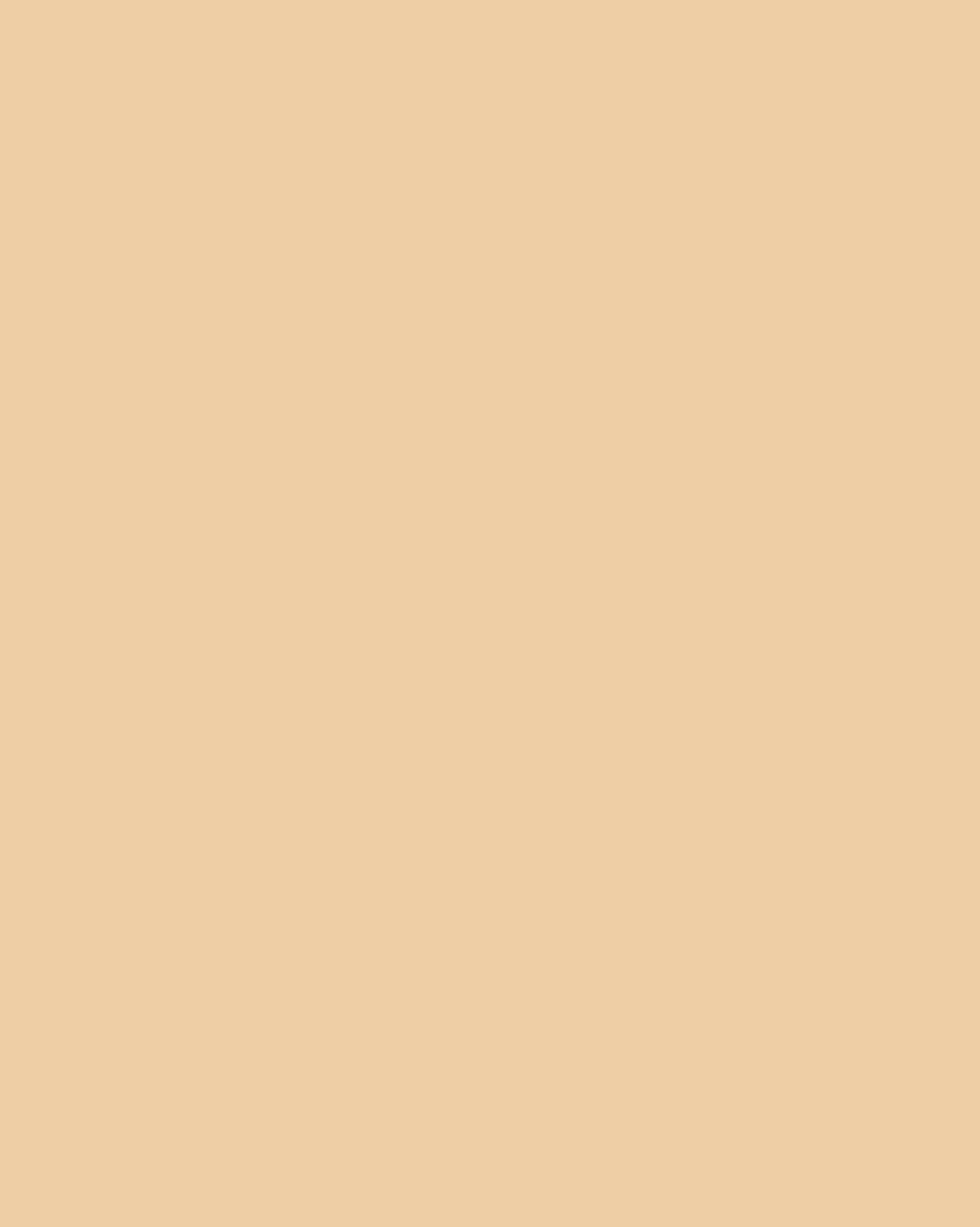 Tonkarton, Chamois, DIN A4, 220g/m², 100 Blatt