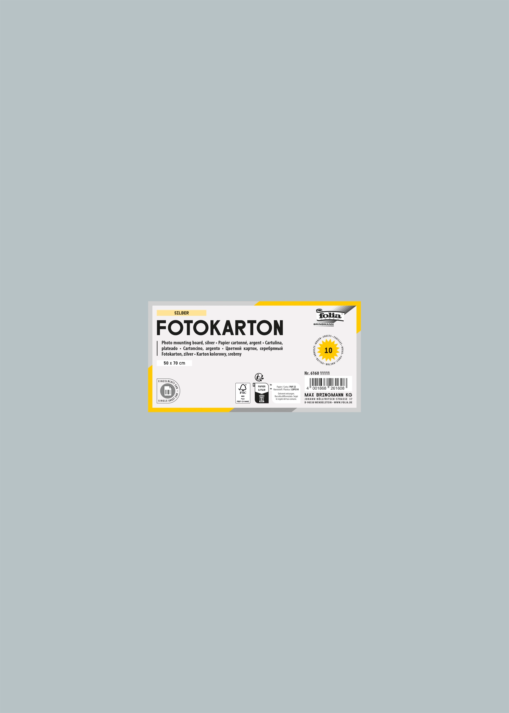 Fotokarton, Silber, 50 x 70 cm, 300 g/m², 10 Bogen