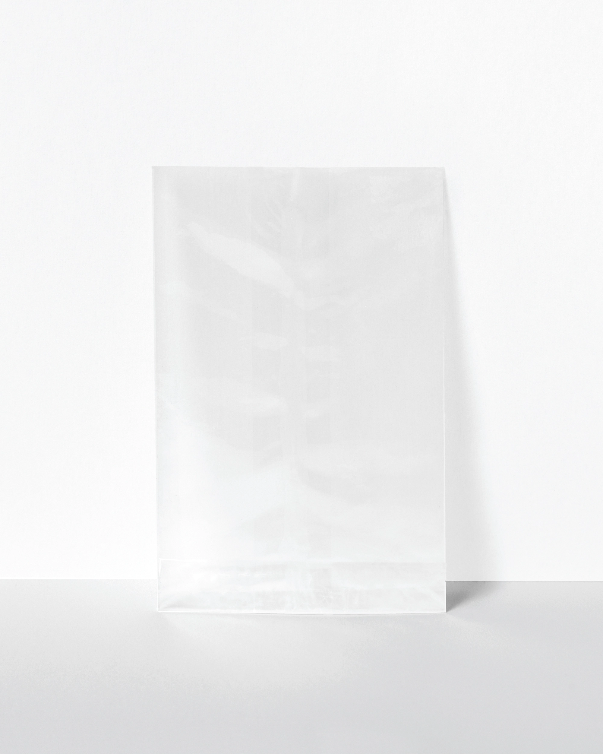 Zellglasbeutel, Transparent, Flach, M, 8,5 x 14,5 cm, 100 Stück