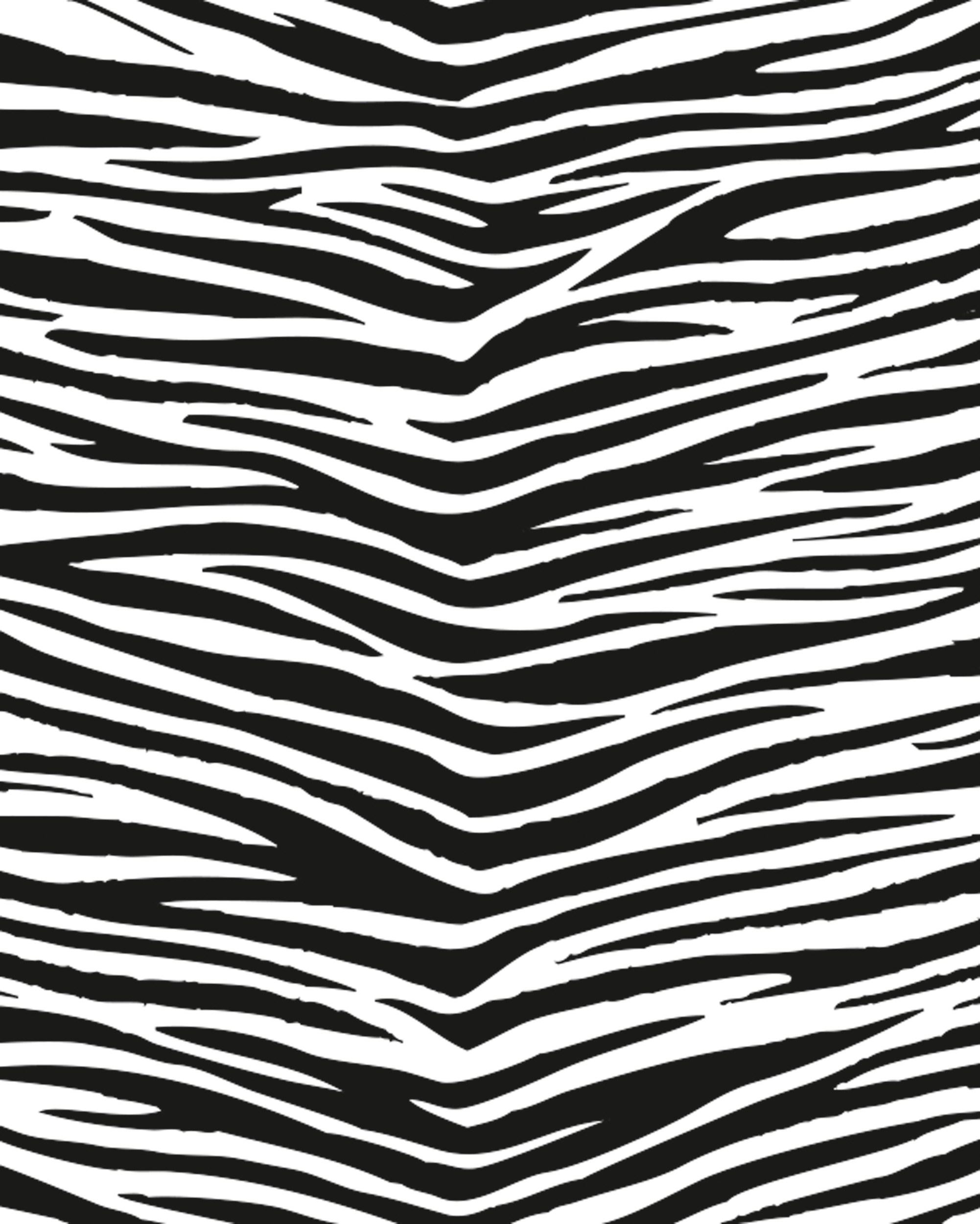 Motif Cardboard, Zebra, 50 x 70 cm, 300 g/m², 10 sheets