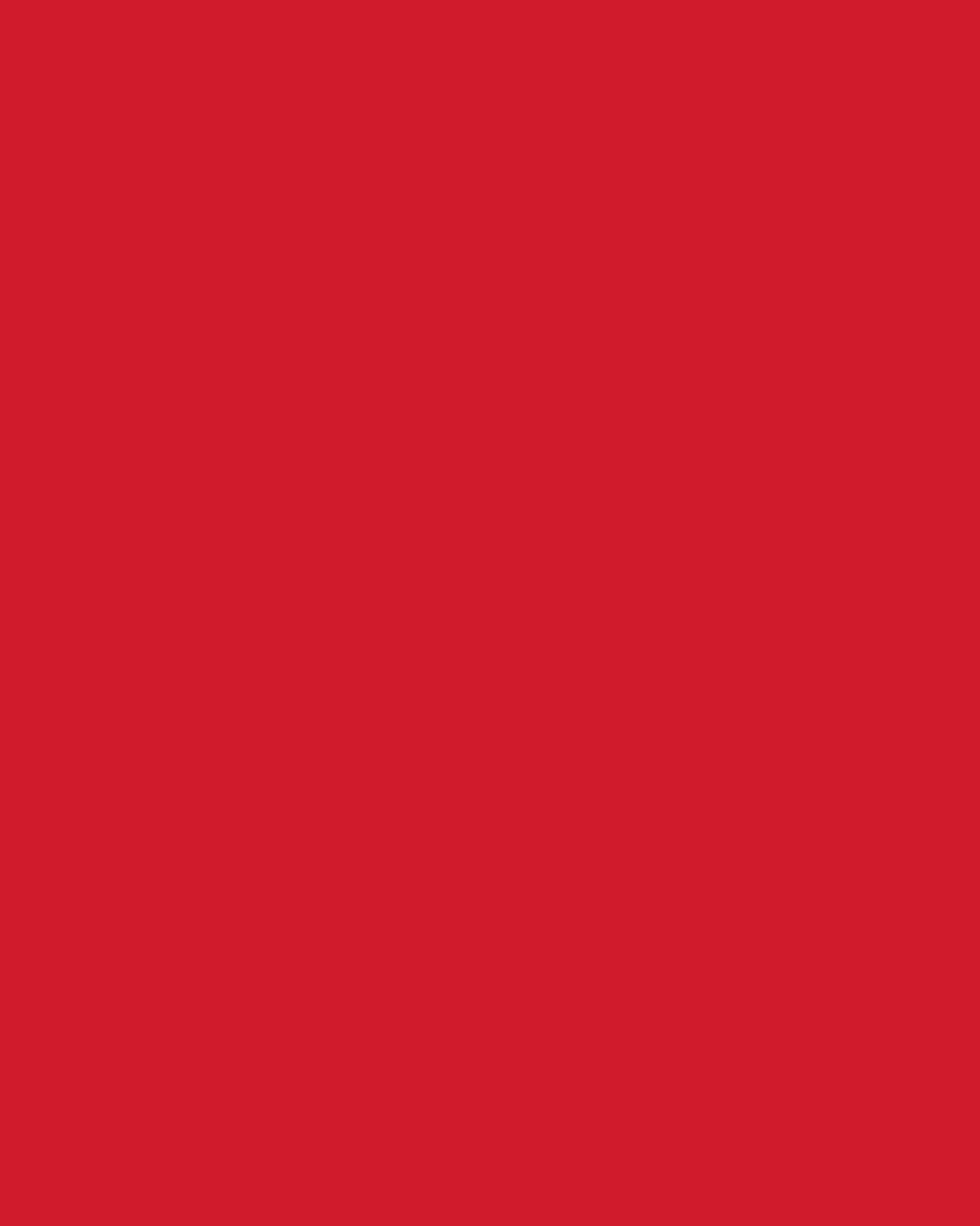 Tonkarton, Hochrot, DIN A2, 160g/m², 25 Blatt