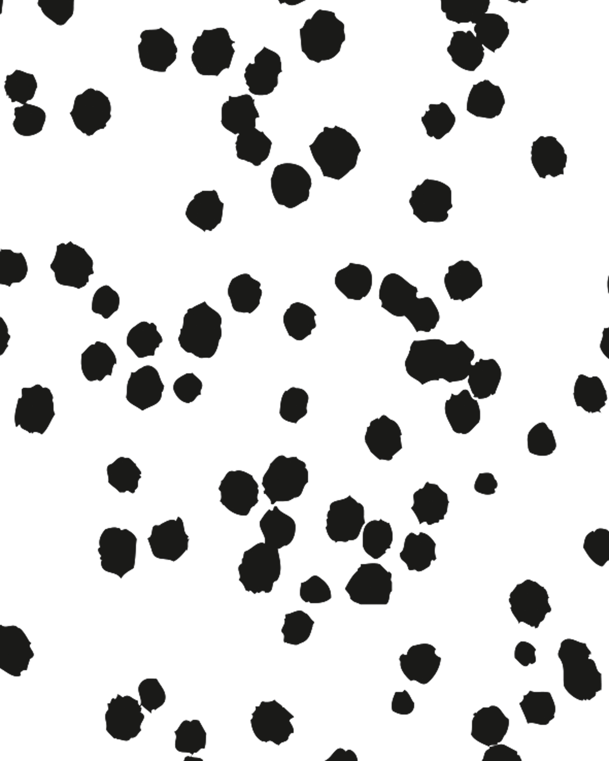 Motif Cardboard, Dalmatian without Structure, 50 x 70 cm, 300 g/m², 10 sheets