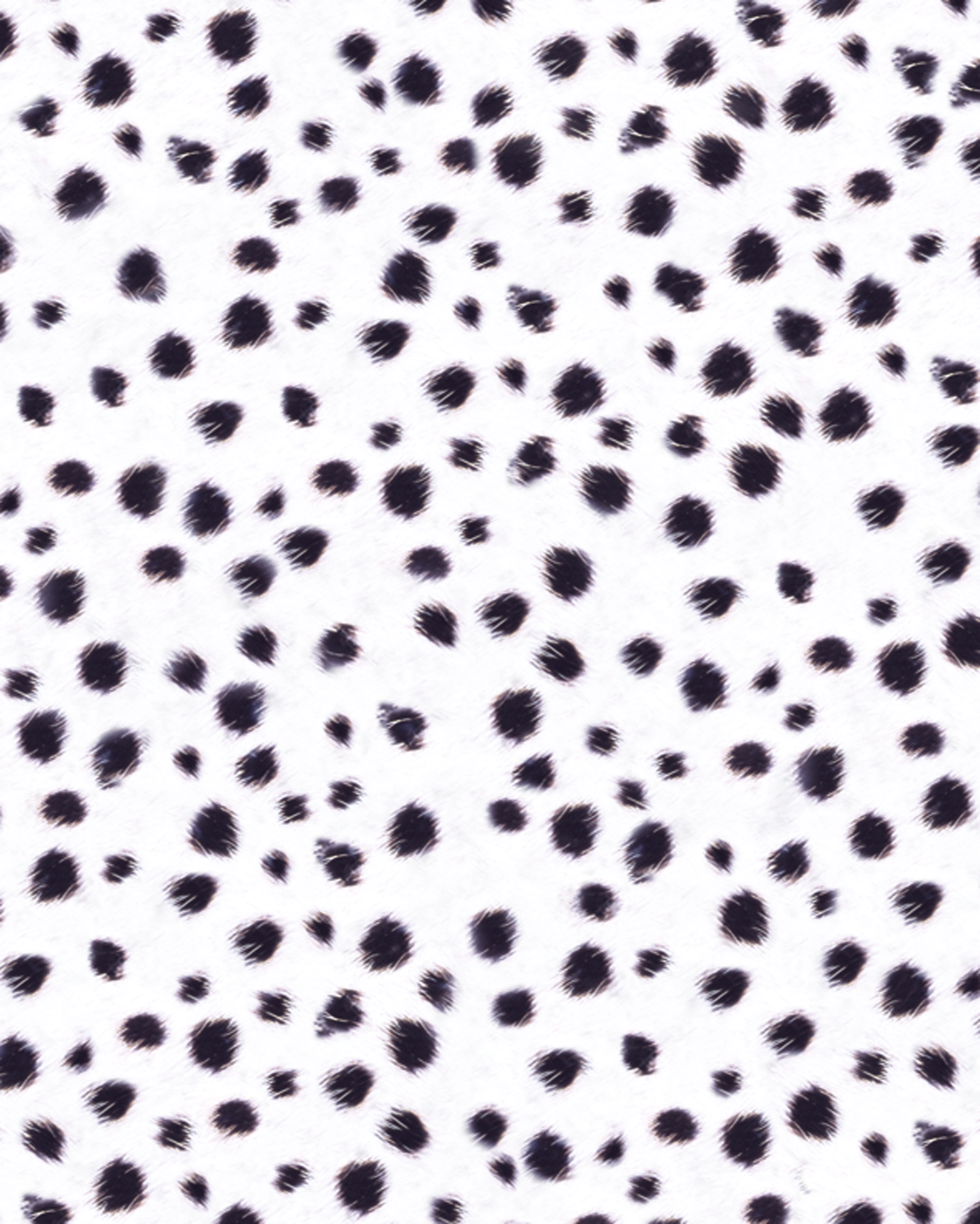 Motif Cardboard, Dalmatian with Structure, 50 x 70 cm, 300 g/m², 10 sheets